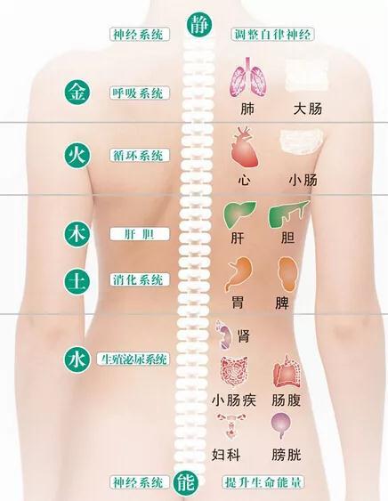 背上长痘是什么原因 背部长痘对应五脏六腑