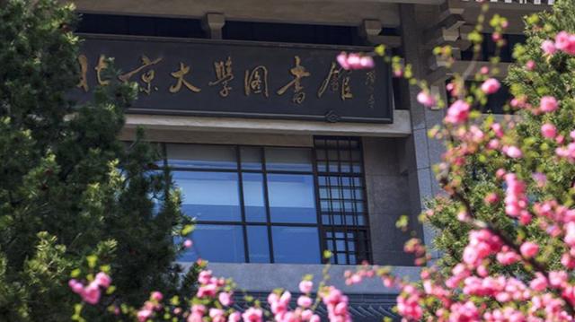 办学等级定位世界知名高水平的大学学校是哪几
