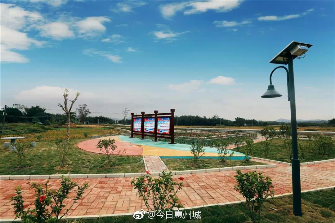 龙门:一座农村污水处理站就是一个乡村湿地公园