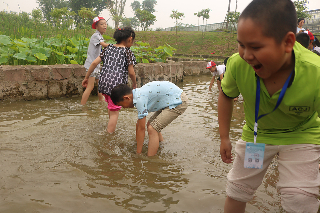 第十五届创新作文小作家研学活动成都七彩田野