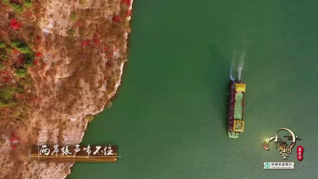 腹有诗书才自华 董卿诗词大会十期唯美开场词