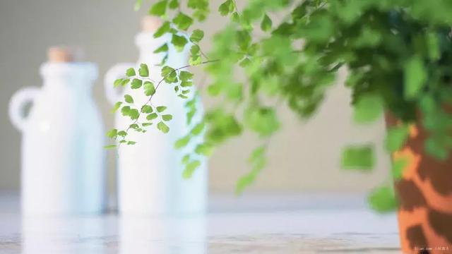 2018扎心语录,抖音伤感语录痛到心里!