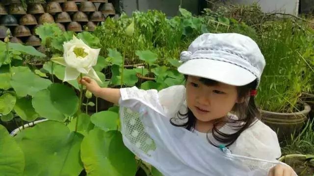 上了4年的七田真早教课程,孩子的变化我看到了