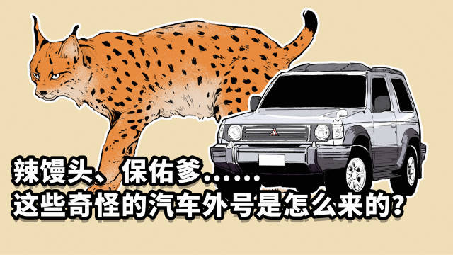 除了神车五菱宏光，还有哪些车型的外号最有特点？