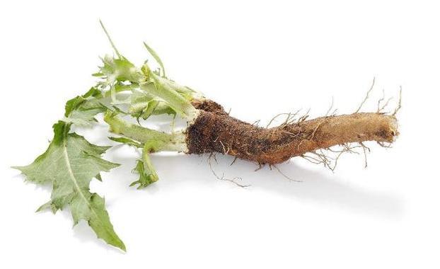 一个偏方治一高,尤其第四个,能降尿酸、防痛风