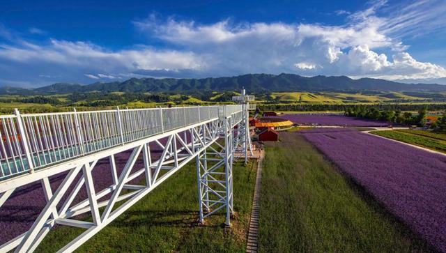 个字:美!新疆新源县那拉提草原花海令人沉醉,是