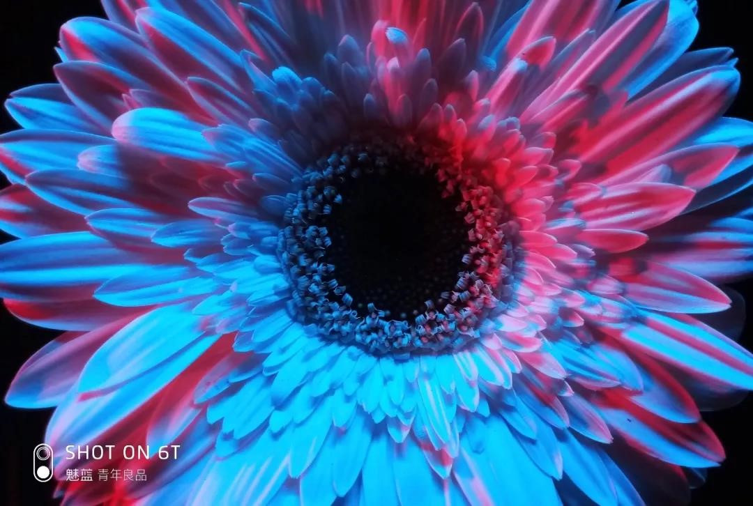 魅蓝6T拍照功底如何?样张就是最好试金石