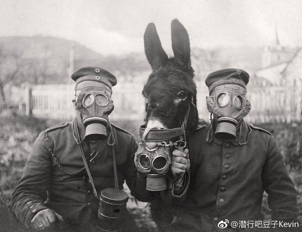 我们常见二战德军身后背负的小型铁罐,也就是