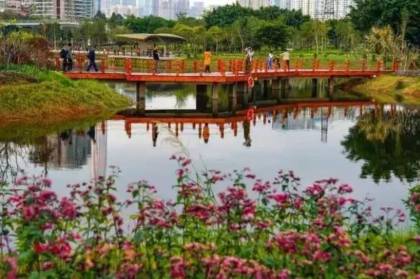 整整83个！深圳最新免费景点出炉，不花一分钱玩遍深圳！