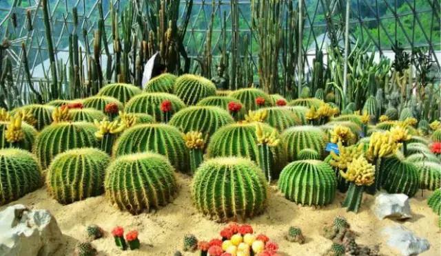 深圳最适合一日游的地方, 不要再说周末没有地