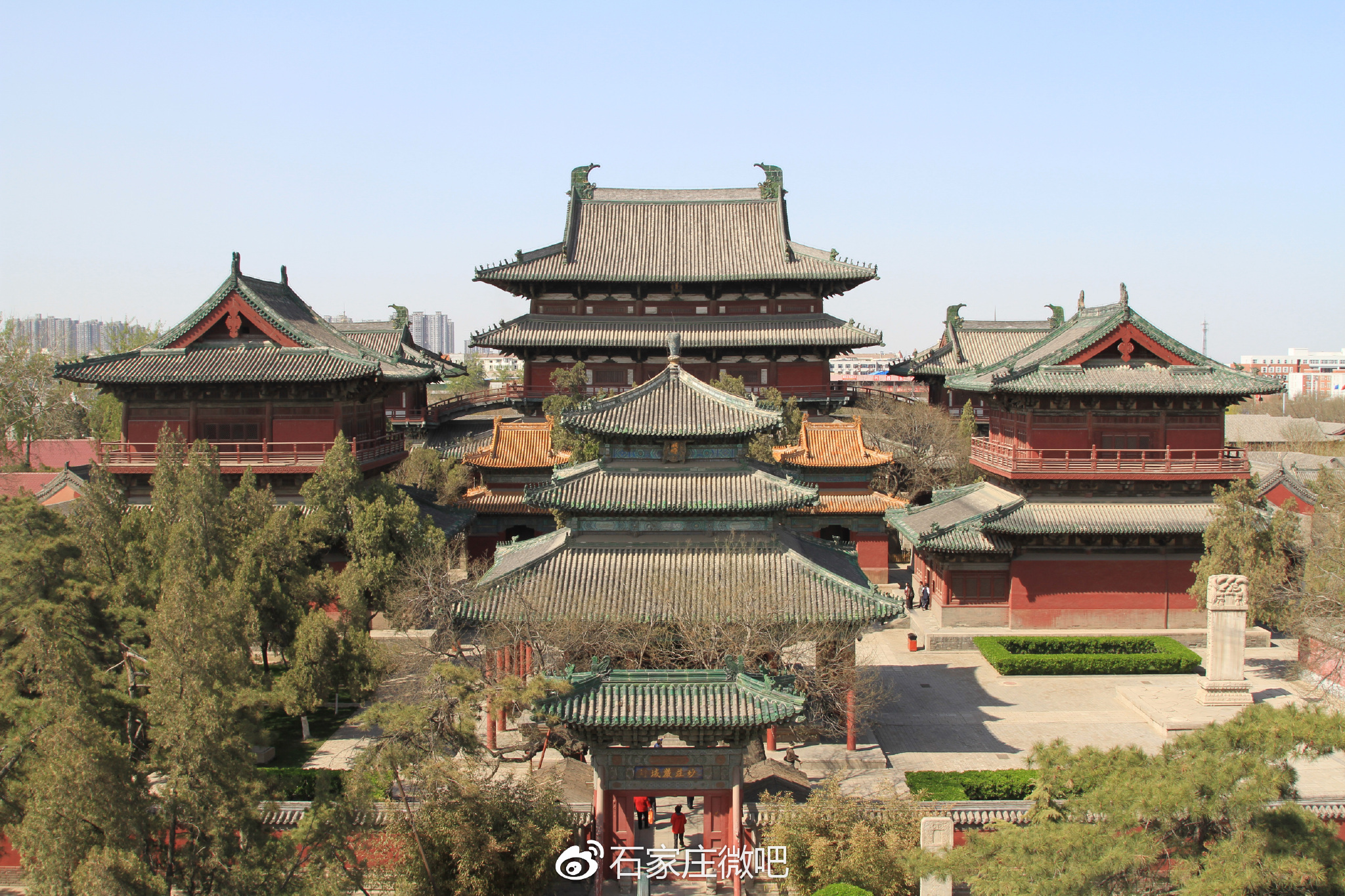 正定隆兴寺赏花正当时