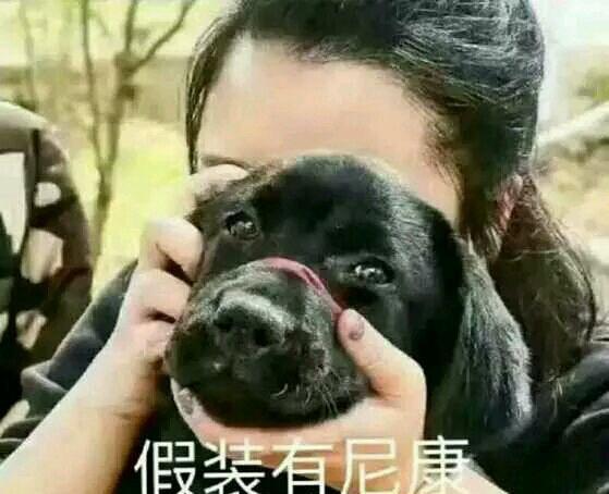 如何正确使用单反! 首先得假装自己有个尼康