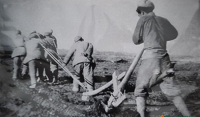 老照片:新疆生产建设兵团白手起家、艰苦奋斗的创业年代