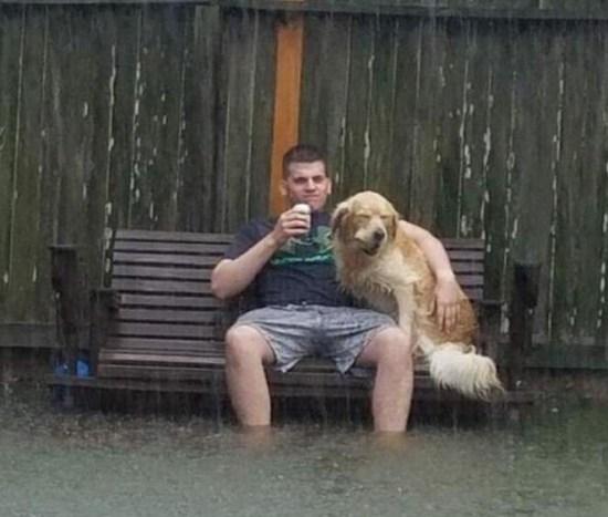 大雨天一男子搂着爱犬金毛,雨中喝酒!一看就是有故事的人