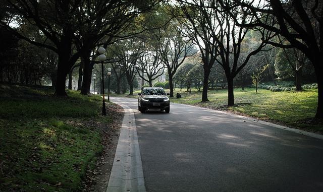 块头不小，身手不弱，柯迪亚克大有文章！