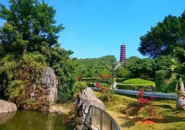 整整83个！深圳最新免费景点出炉，不花一分钱玩遍深圳！