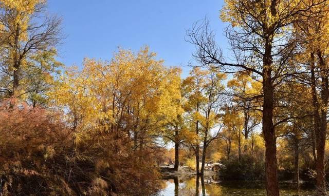 7.99万起！16万公里质保的SUV配1.5T后很厉害