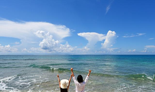 中国游客在日本用假驾照租车,还能这么操作?