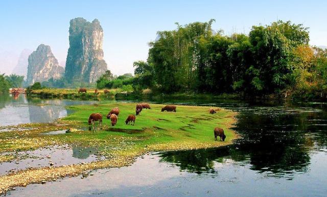 2020广西经济最强的_2020广西企业百强名单,黑马企业横空出世首