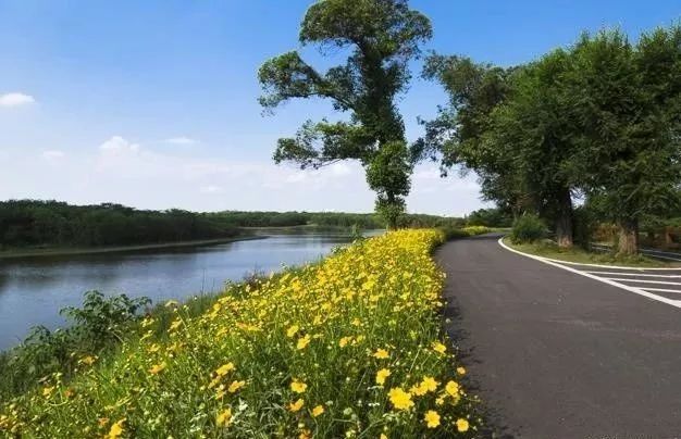 自驾路线:天府大道北段辅路→三环→成洛大道高架→青龙湖公园(30min)