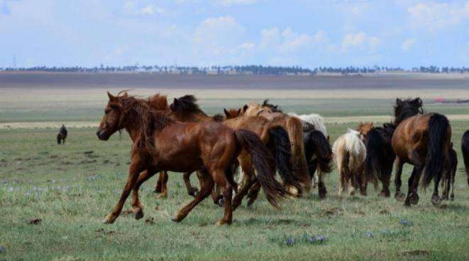 外蒙古还能不能回归中国? 说出来你都不信