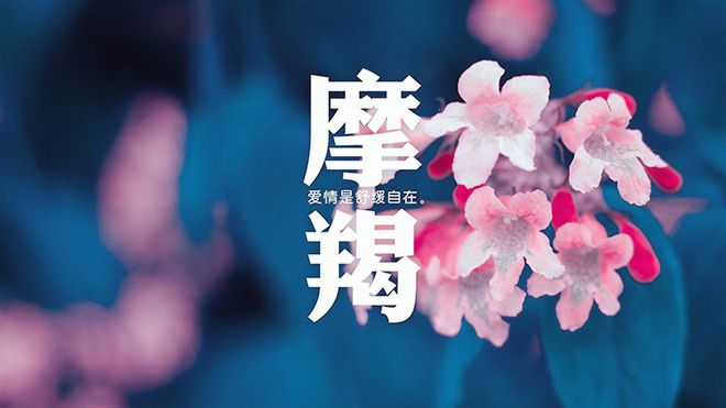 摩羯座水瓶座男配对狮子女图片