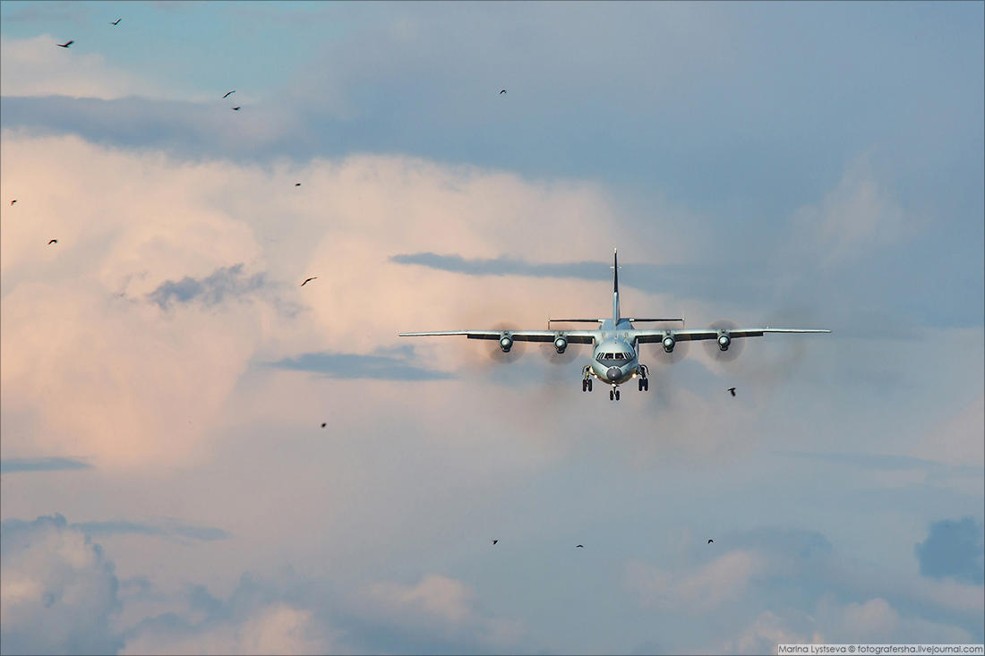 航空飞镖赛运-9穿鸟群着陆!外国摄影师拍的中