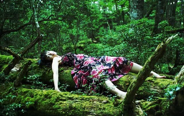 诡异的日本"自杀森林",为何很多人在那里自杀?真相究竟是什么