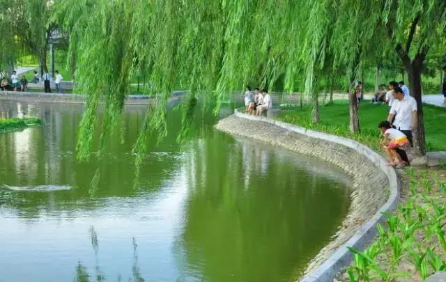 整整83个！深圳最新免费景点出炉，不花一分钱玩遍深圳！