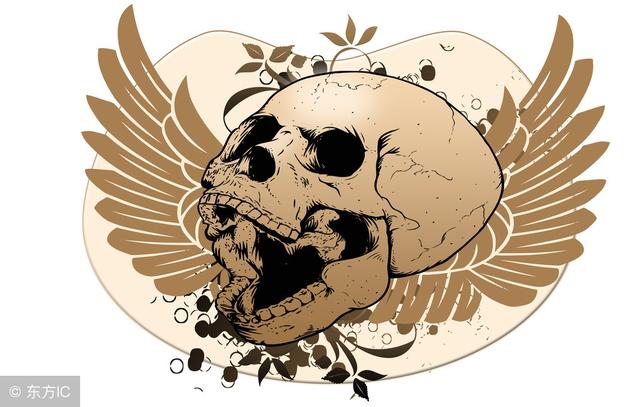 车主买了强险和三者100万免赔险,肇事撞死人了