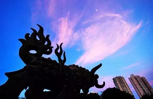 整整83个！深圳最新免费景点出炉，不花一分钱玩遍深圳！