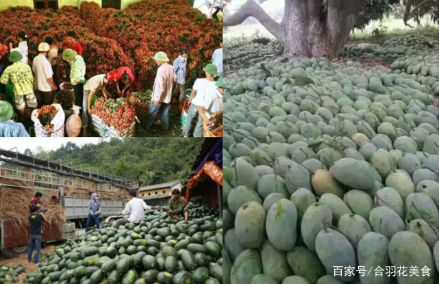 越南水果成灾，中国积极进口消耗，但网友评论打脸了
