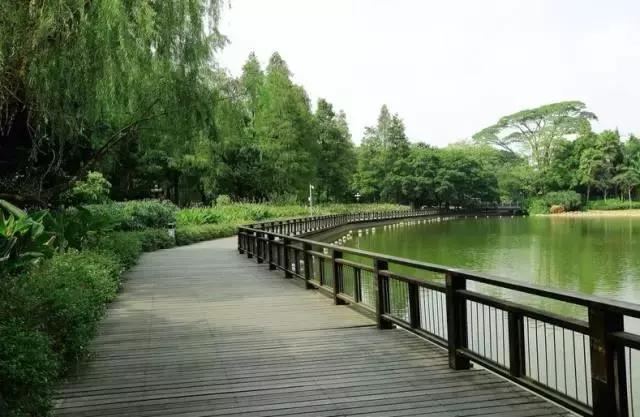 整整83个！深圳最新免费景点出炉，不花一分钱玩遍深圳！