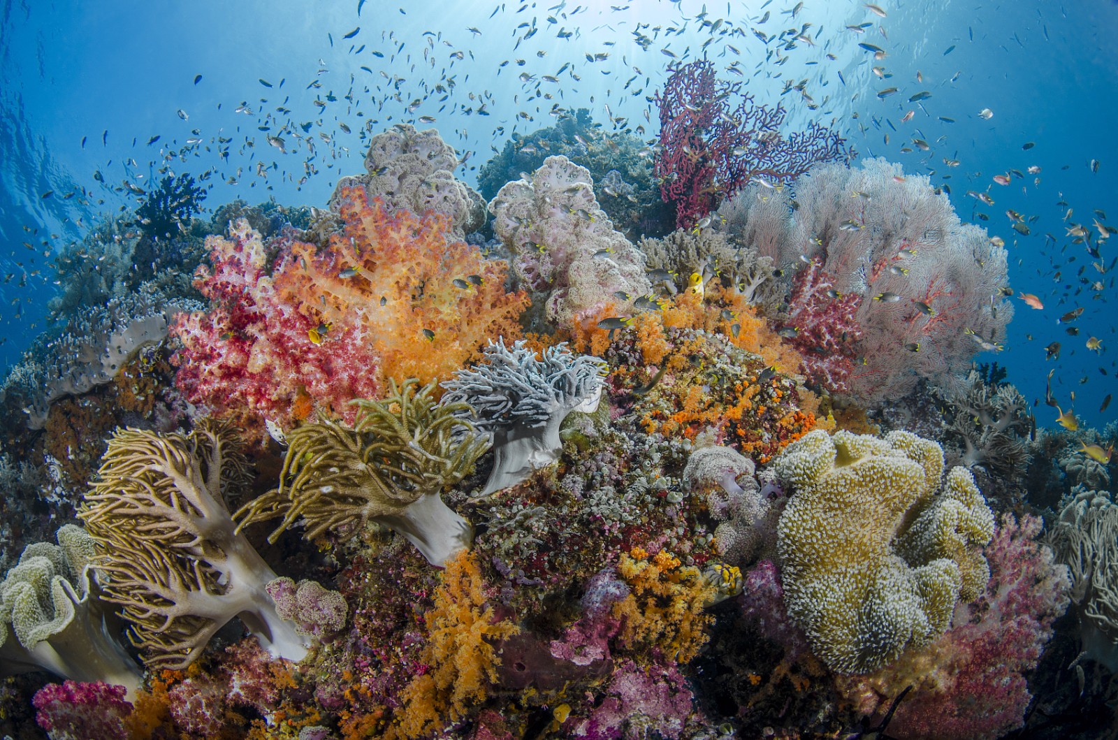 中国铁建房地产集团公开招聘总会计师6人,入职