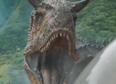 冥河龙是肉食还是素食