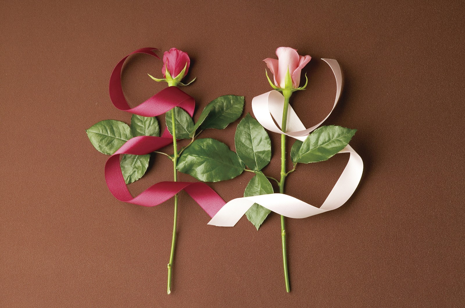 输液时溶液不滴了怎么办?