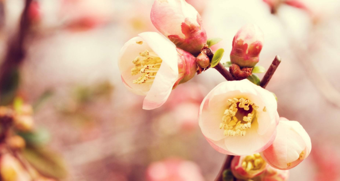 20句非常经典的人生励志语录