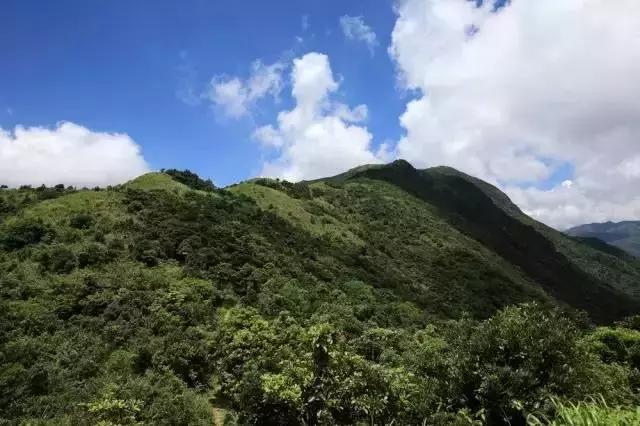 整整83个！深圳最新免费景点出炉，不花一分钱玩遍深圳！