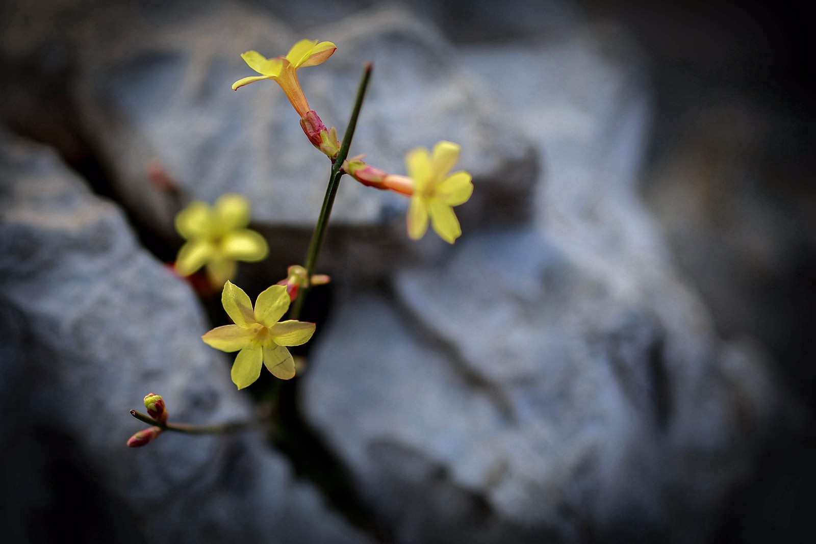 180528小冰爱学习:一些让人豁然开朗的英文句