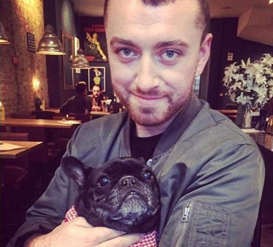 细数戳爷, 小K那些颜值高到不行的欧美出柜明