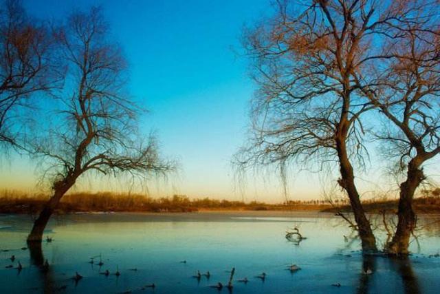 想入手一个适合旅游拍照用的相机?我推荐这三