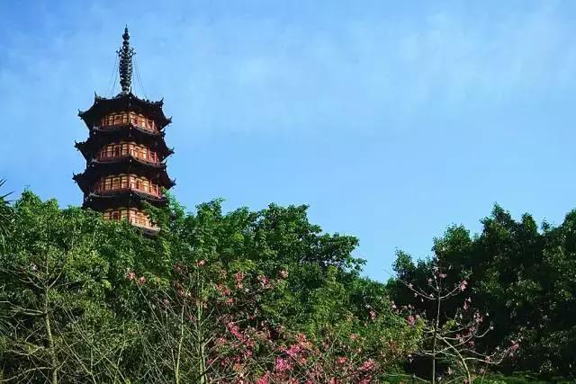 整整83个！深圳最新免费景点出炉，不花一分钱玩遍深圳！