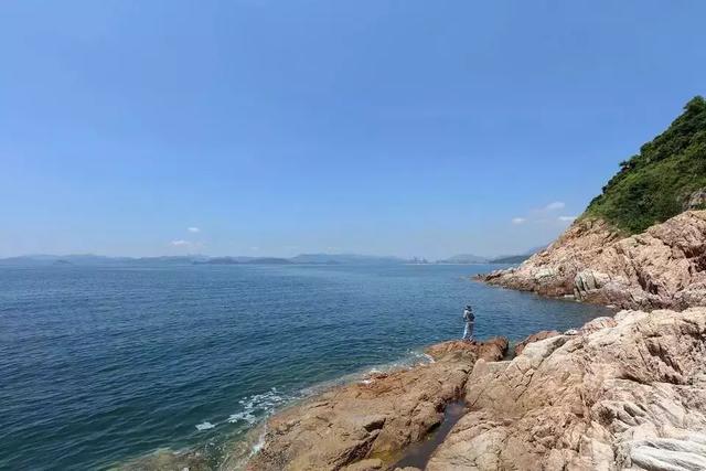 整整83个！深圳最新免费景点出炉，不花一分钱玩遍深圳！