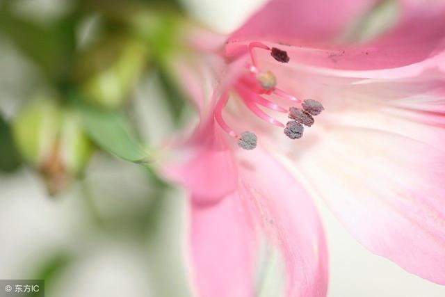 一句话简短经典的说说心情短语,句句走心!