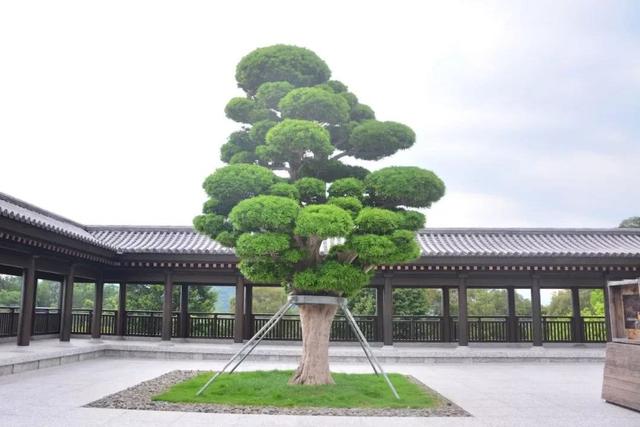 李嘉诚花 26 亿建的慈山寺，到底有多美？