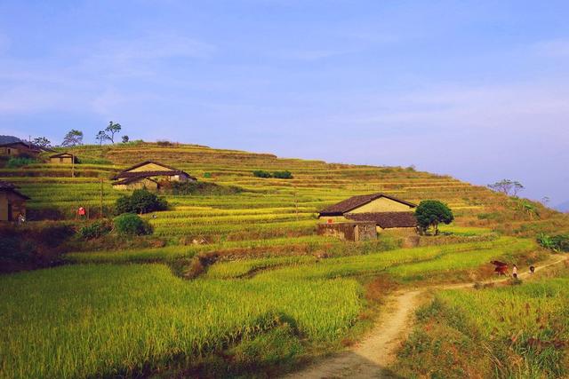 银川正在大力规划一条高速公路