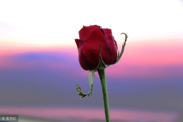 分手后让对方心痛的话,句句心碎,你读到第几句