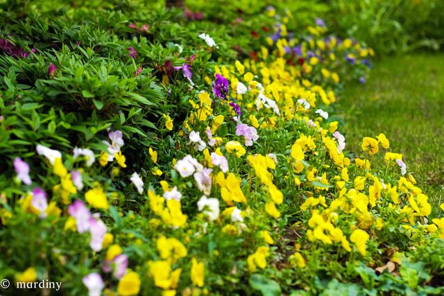 左宗棠:人活着就是折腾,就得遭罪,舒服是留给死