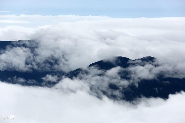 鼠年出生人:属鼠人最命苦的出生月份,你家有