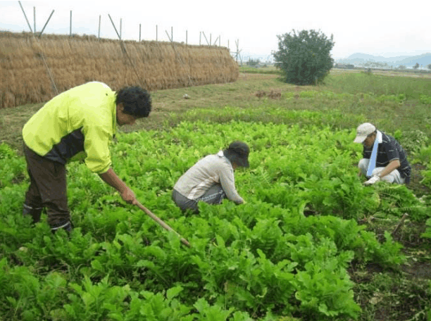 日本农村日常是什么样子的? 房屋坐落有致, 环